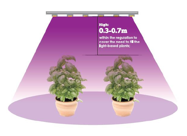 Height of installation of the plant grow lights
